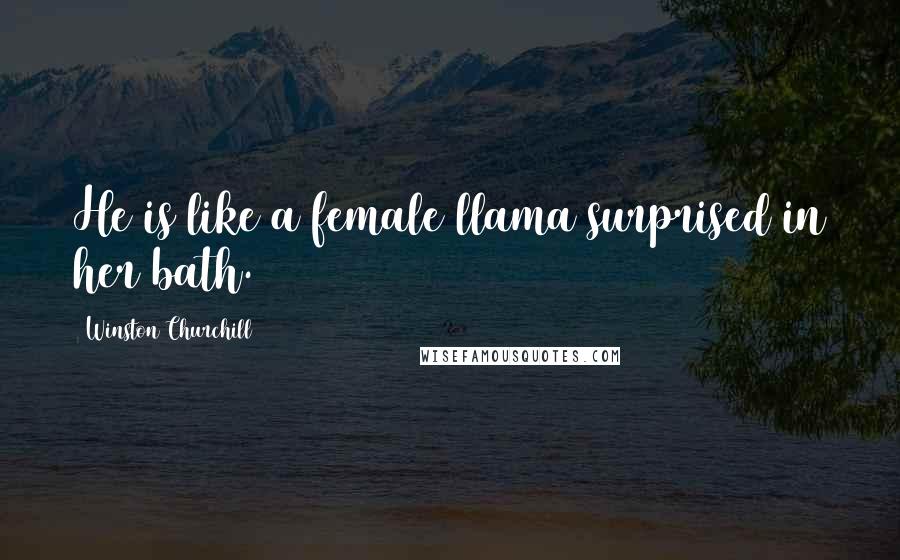 Winston Churchill Quotes: He is like a female llama surprised in her bath.