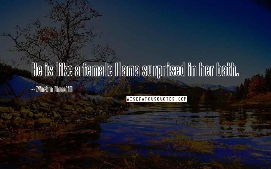 Winston Churchill Quotes: He is like a female llama surprised in her bath.