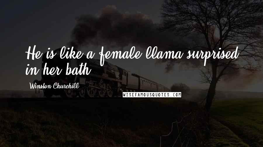 Winston Churchill Quotes: He is like a female llama surprised in her bath.