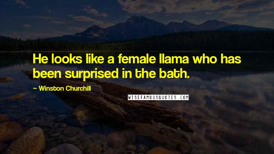 Winston Churchill Quotes: He looks like a female llama who has been surprised in the bath.