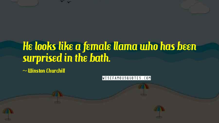 Winston Churchill Quotes: He looks like a female llama who has been surprised in the bath.