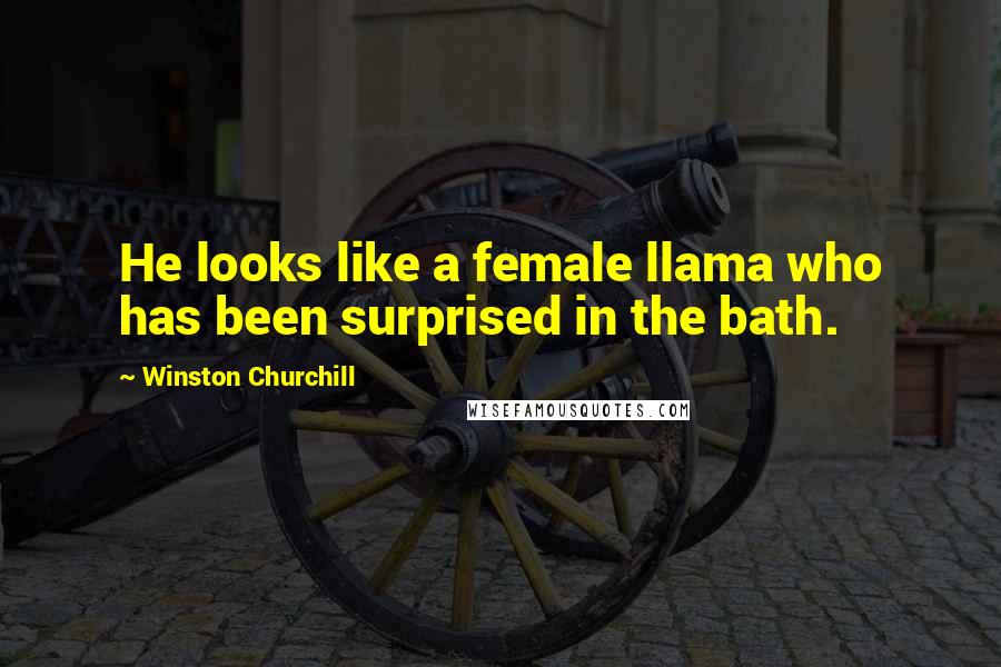 Winston Churchill Quotes: He looks like a female llama who has been surprised in the bath.