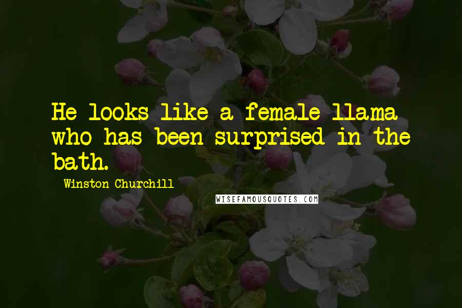 Winston Churchill Quotes: He looks like a female llama who has been surprised in the bath.