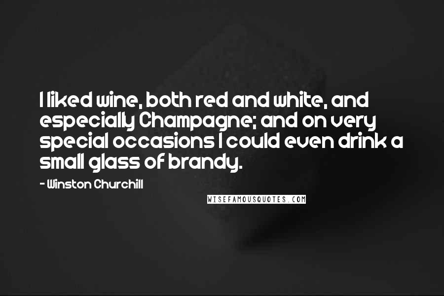 Winston Churchill Quotes: I liked wine, both red and white, and especially Champagne; and on very special occasions I could even drink a small glass of brandy.