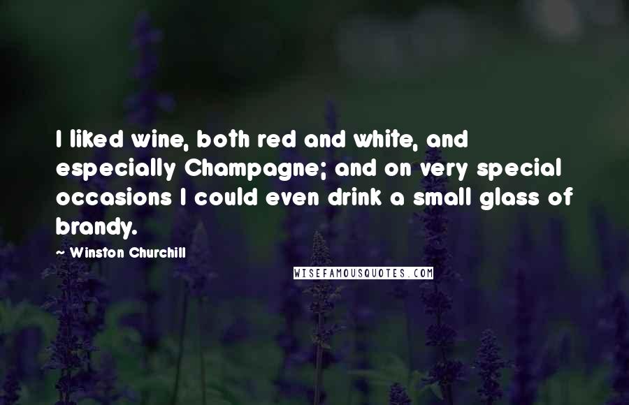 Winston Churchill Quotes: I liked wine, both red and white, and especially Champagne; and on very special occasions I could even drink a small glass of brandy.