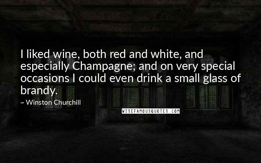 Winston Churchill Quotes: I liked wine, both red and white, and especially Champagne; and on very special occasions I could even drink a small glass of brandy.