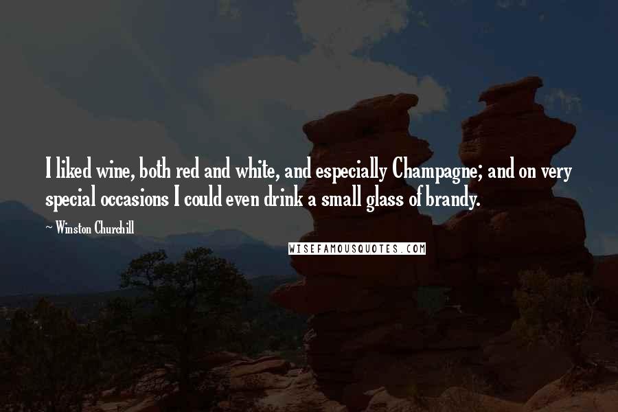 Winston Churchill Quotes: I liked wine, both red and white, and especially Champagne; and on very special occasions I could even drink a small glass of brandy.