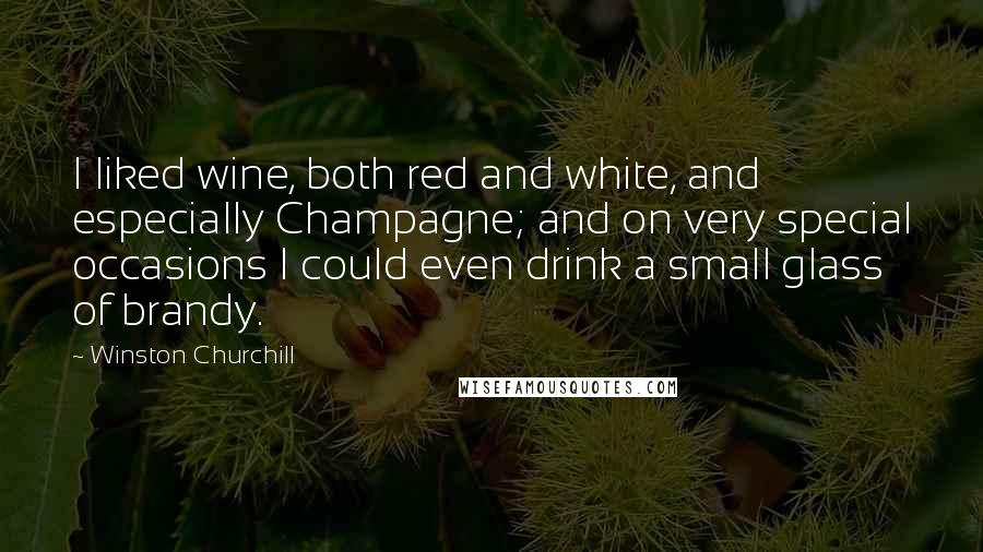 Winston Churchill Quotes: I liked wine, both red and white, and especially Champagne; and on very special occasions I could even drink a small glass of brandy.