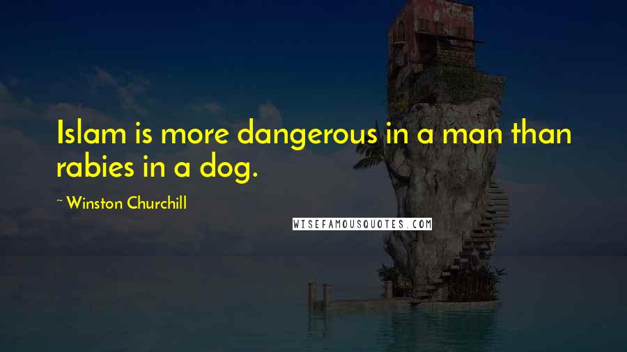 Winston Churchill Quotes: Islam is more dangerous in a man than rabies in a dog.