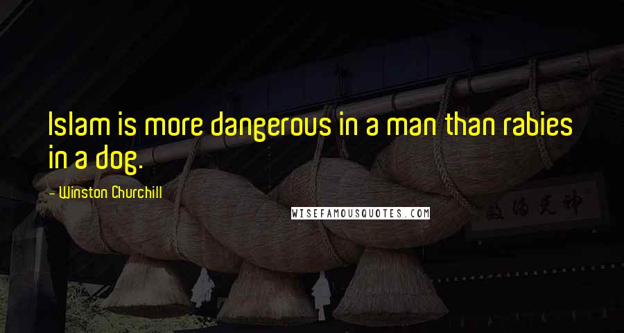 Winston Churchill Quotes: Islam is more dangerous in a man than rabies in a dog.