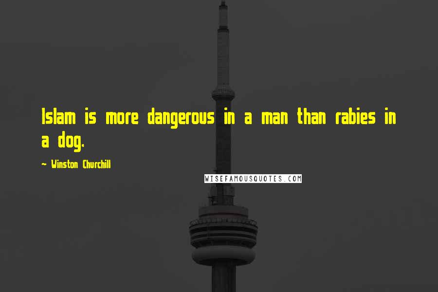 Winston Churchill Quotes: Islam is more dangerous in a man than rabies in a dog.