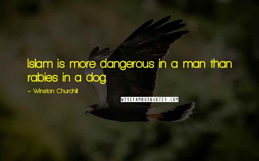 Winston Churchill Quotes: Islam is more dangerous in a man than rabies in a dog.