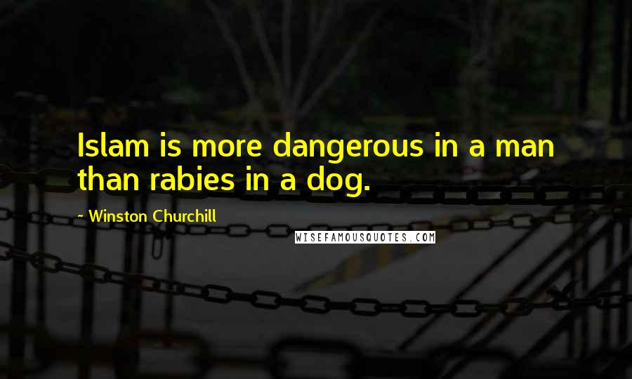 Winston Churchill Quotes: Islam is more dangerous in a man than rabies in a dog.