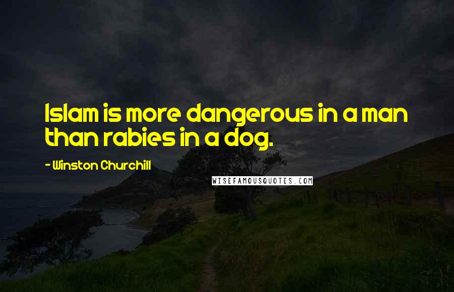 Winston Churchill Quotes: Islam is more dangerous in a man than rabies in a dog.