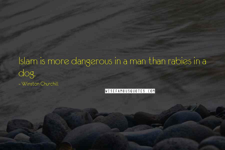 Winston Churchill Quotes: Islam is more dangerous in a man than rabies in a dog.