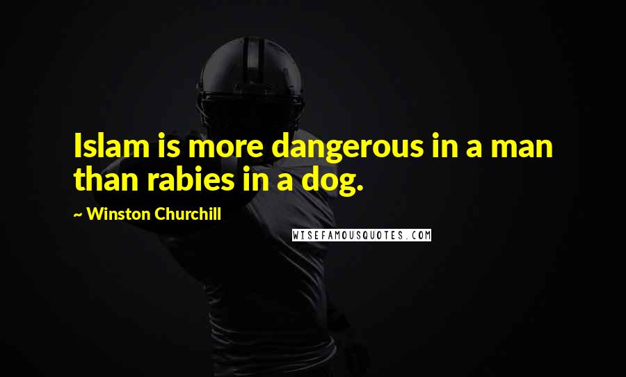 Winston Churchill Quotes: Islam is more dangerous in a man than rabies in a dog.