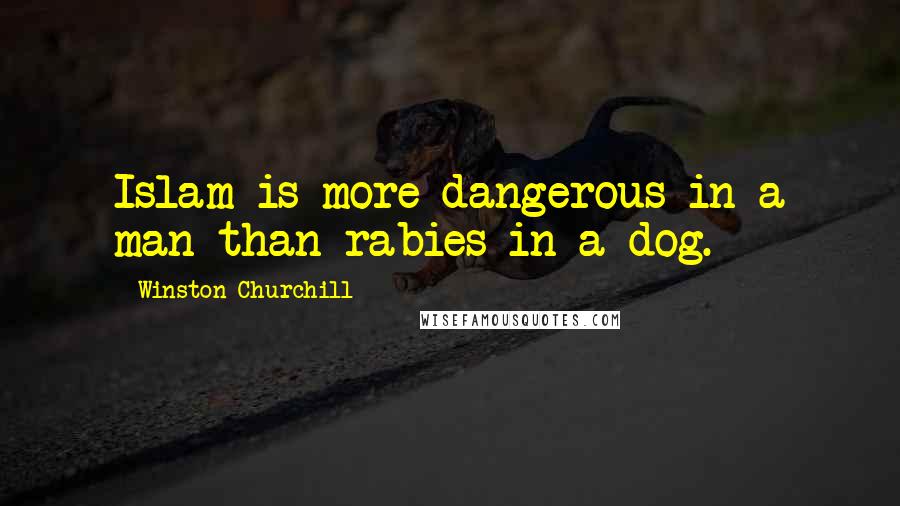 Winston Churchill Quotes: Islam is more dangerous in a man than rabies in a dog.