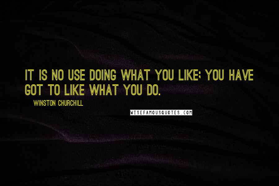 Winston Churchill Quotes: It is no use doing what you like; you have got to like what you do.