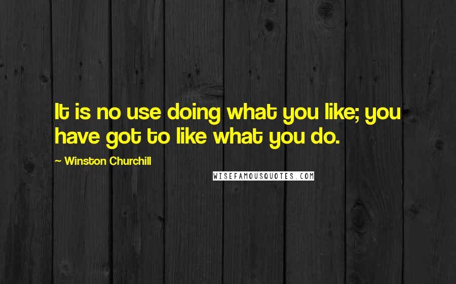 Winston Churchill Quotes: It is no use doing what you like; you have got to like what you do.