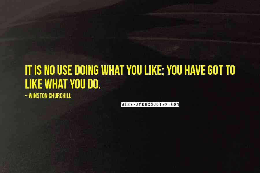 Winston Churchill Quotes: It is no use doing what you like; you have got to like what you do.