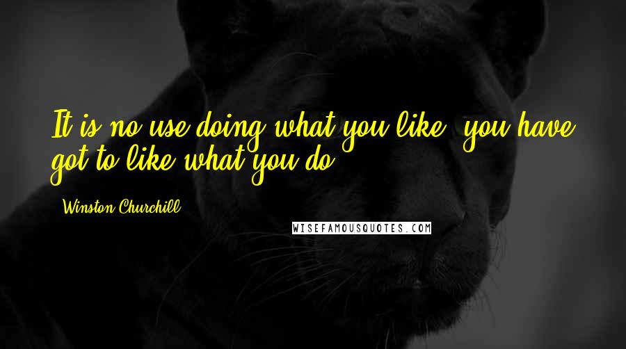 Winston Churchill Quotes: It is no use doing what you like; you have got to like what you do.