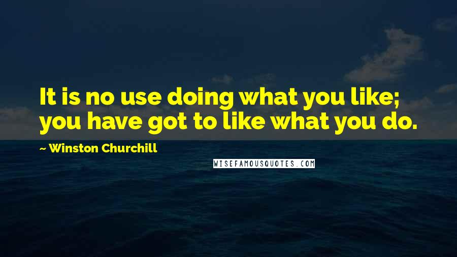 Winston Churchill Quotes: It is no use doing what you like; you have got to like what you do.