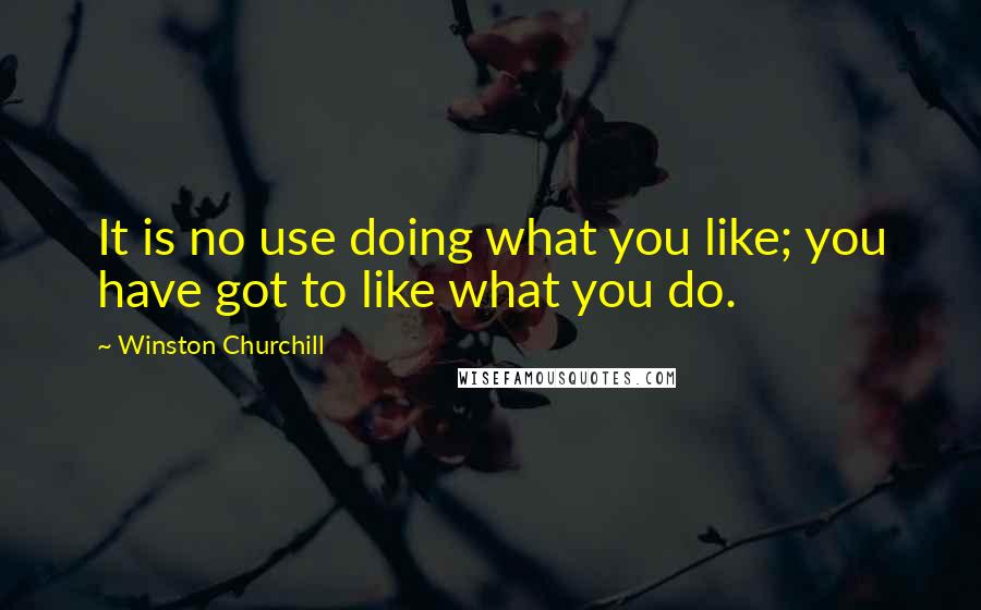 Winston Churchill Quotes: It is no use doing what you like; you have got to like what you do.