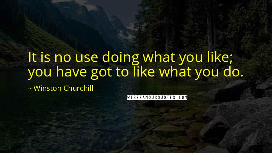Winston Churchill Quotes: It is no use doing what you like; you have got to like what you do.