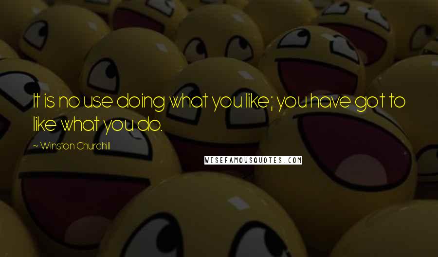 Winston Churchill Quotes: It is no use doing what you like; you have got to like what you do.