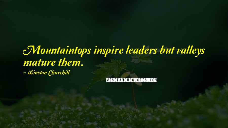 Winston Churchill Quotes: Mountaintops inspire leaders but valleys mature them.