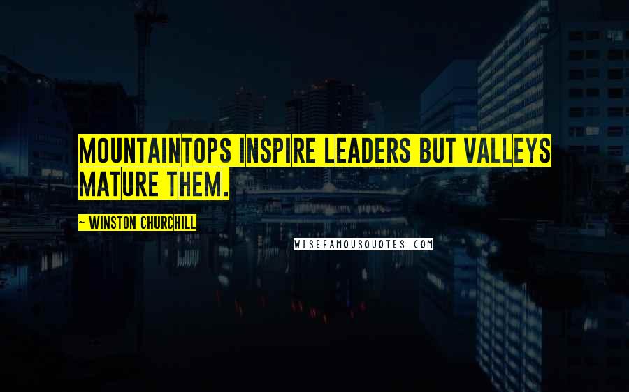 Winston Churchill Quotes: Mountaintops inspire leaders but valleys mature them.