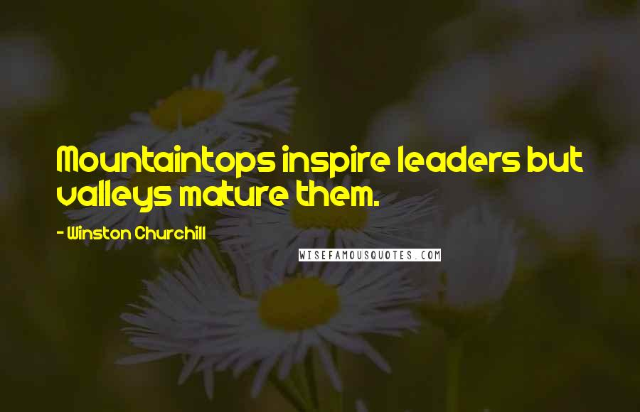 Winston Churchill Quotes: Mountaintops inspire leaders but valleys mature them.