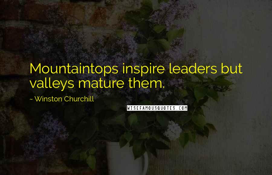 Winston Churchill Quotes: Mountaintops inspire leaders but valleys mature them.