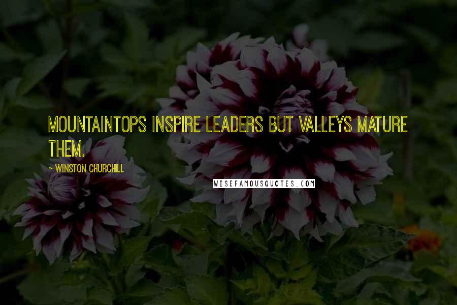 Winston Churchill Quotes: Mountaintops inspire leaders but valleys mature them.