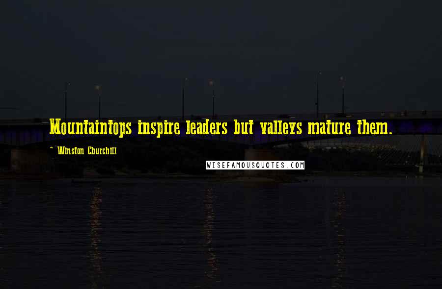 Winston Churchill Quotes: Mountaintops inspire leaders but valleys mature them.