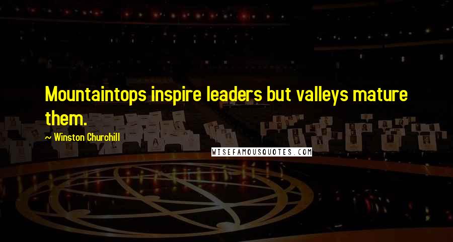 Winston Churchill Quotes: Mountaintops inspire leaders but valleys mature them.