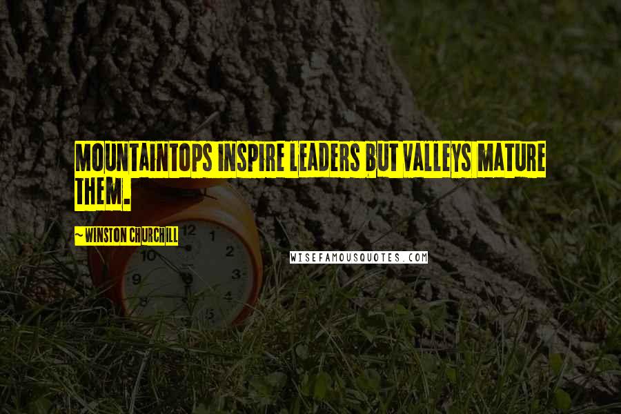 Winston Churchill Quotes: Mountaintops inspire leaders but valleys mature them.