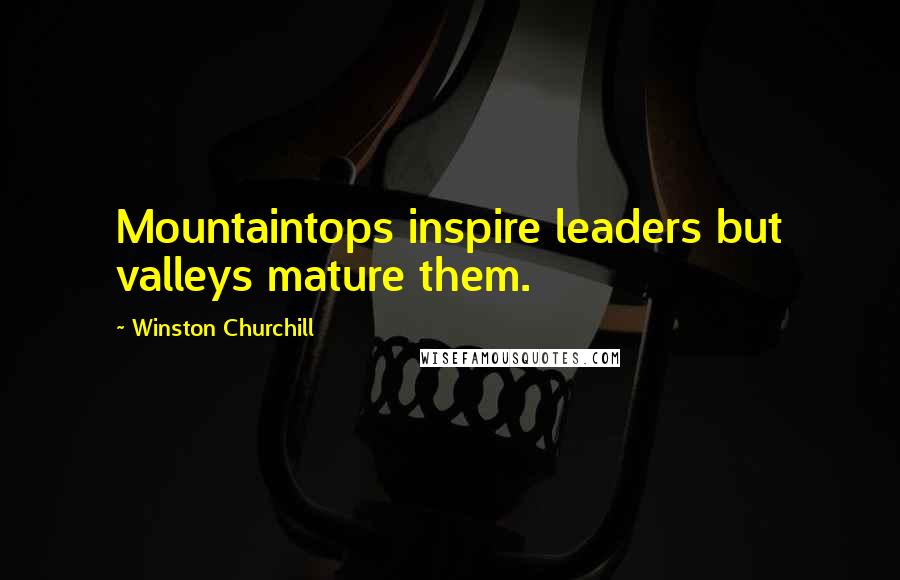 Winston Churchill Quotes: Mountaintops inspire leaders but valleys mature them.