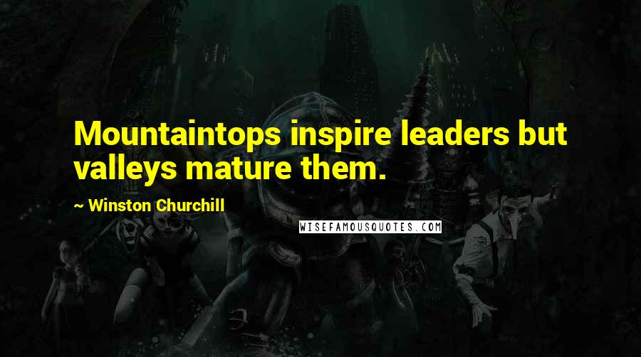 Winston Churchill Quotes: Mountaintops inspire leaders but valleys mature them.