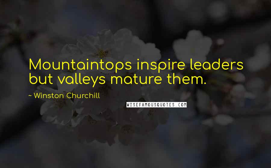 Winston Churchill Quotes: Mountaintops inspire leaders but valleys mature them.