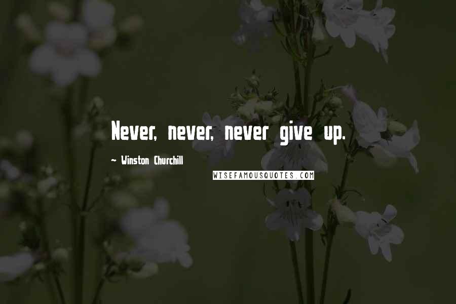 Winston Churchill Quotes: Never, never, never give up.