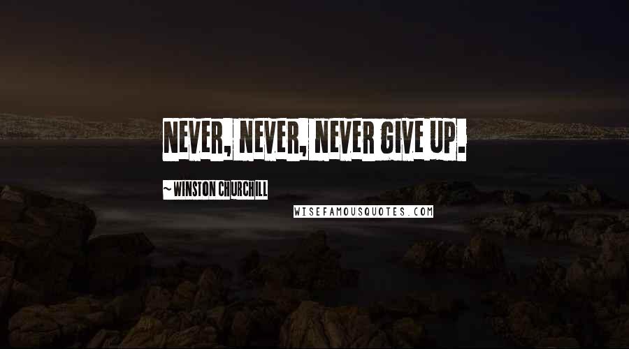 Winston Churchill Quotes: Never, never, never give up.