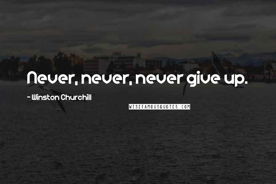 Winston Churchill Quotes: Never, never, never give up.