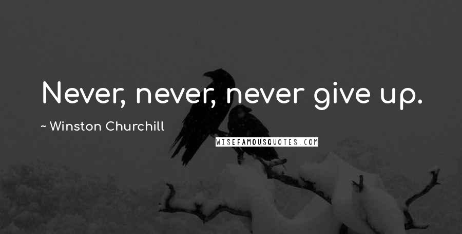 Winston Churchill Quotes: Never, never, never give up.