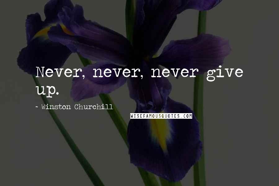 Winston Churchill Quotes: Never, never, never give up.