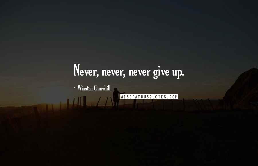 Winston Churchill Quotes: Never, never, never give up.