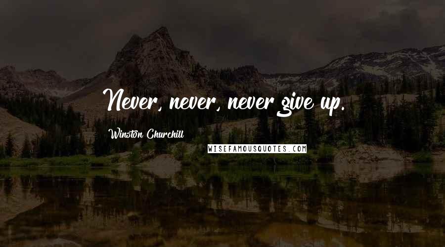 Winston Churchill Quotes: Never, never, never give up.