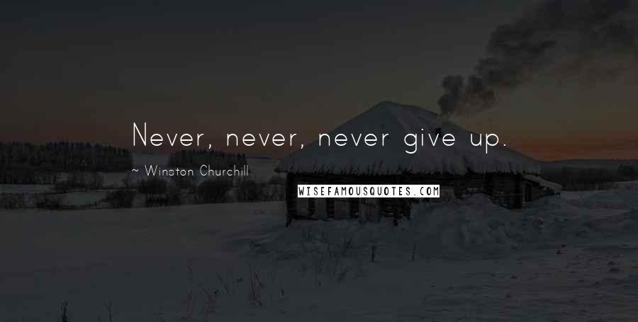 Winston Churchill Quotes: Never, never, never give up.