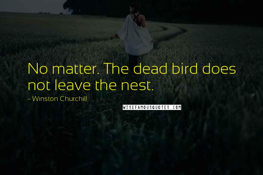 Winston Churchill Quotes: No matter. The dead bird does not leave the nest.