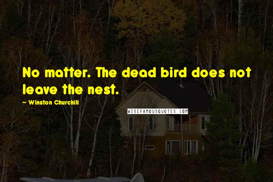 Winston Churchill Quotes: No matter. The dead bird does not leave the nest.